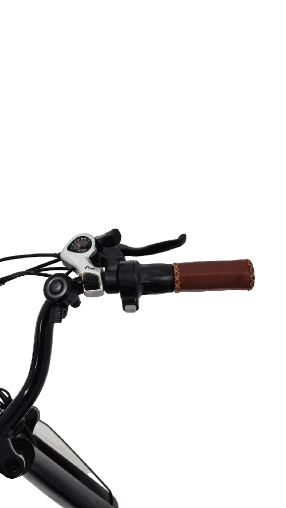 DiroDi CLASSIMO Electric Bike (Gen 3) with basket - Image 5